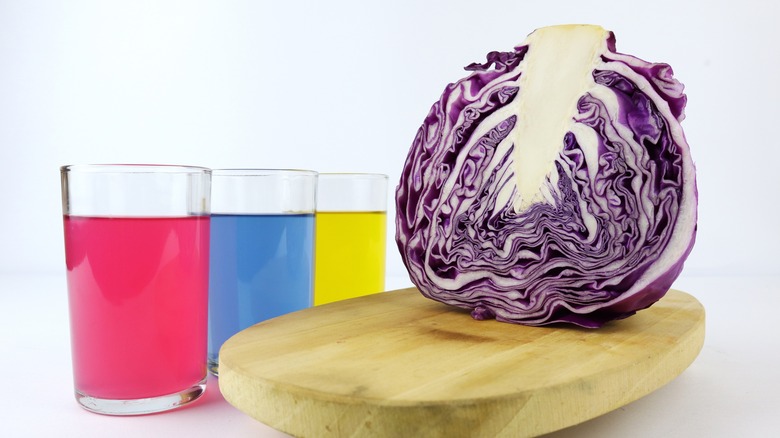 different colored liquids next to purple cabbage