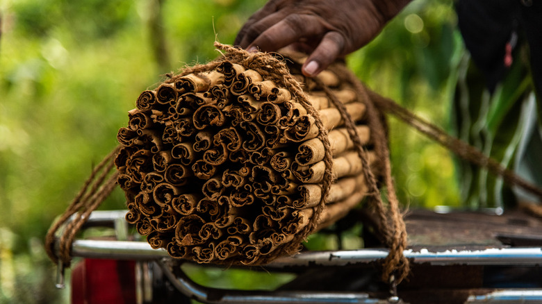 Cinnamon in Sri Lanka market