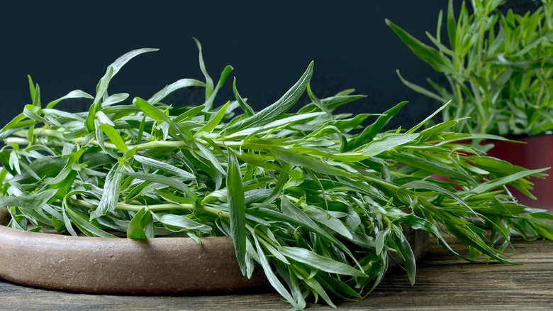 bundle of fresh tarragon in a rustic bowl