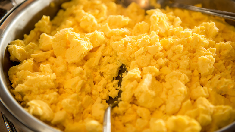 Close-up of dried, buffet-style eggs