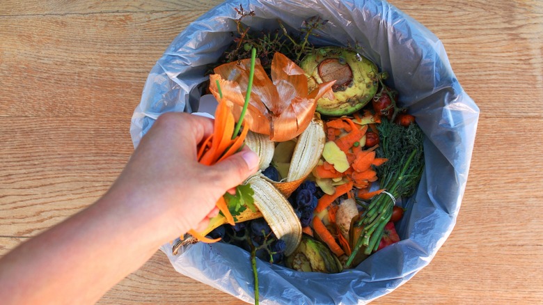 organic waste from fruits and vegetables