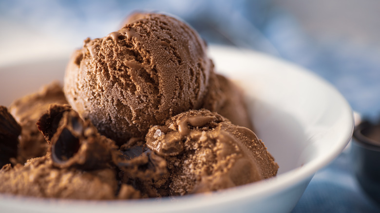 bowl of chocolate ice cream