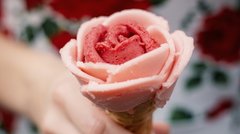 Pink gelato rose