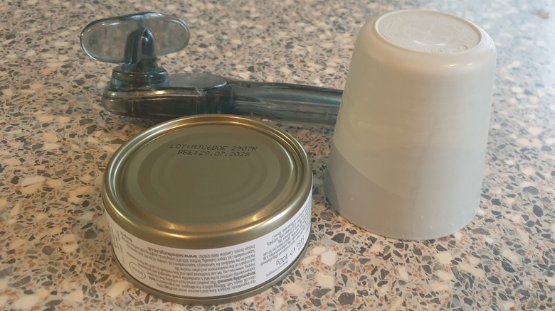 Canned fish, can opener and plastic cup
