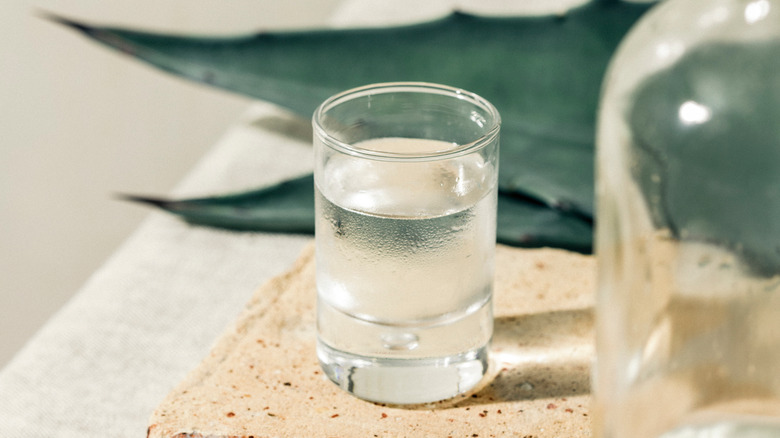 Shot of mezcal