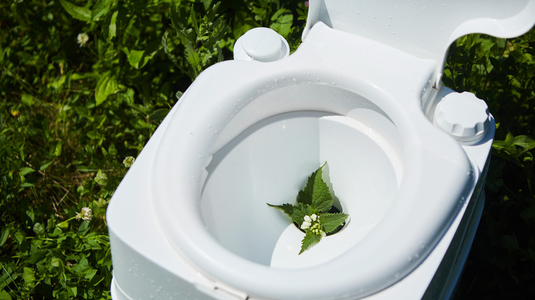 eco-friendly toilet