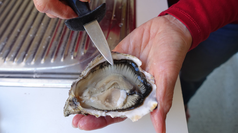 oyster and oyster knife