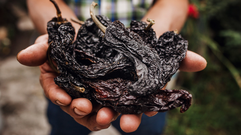 person holding dried ancho chiles 