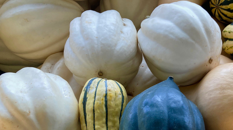 White acorn squash