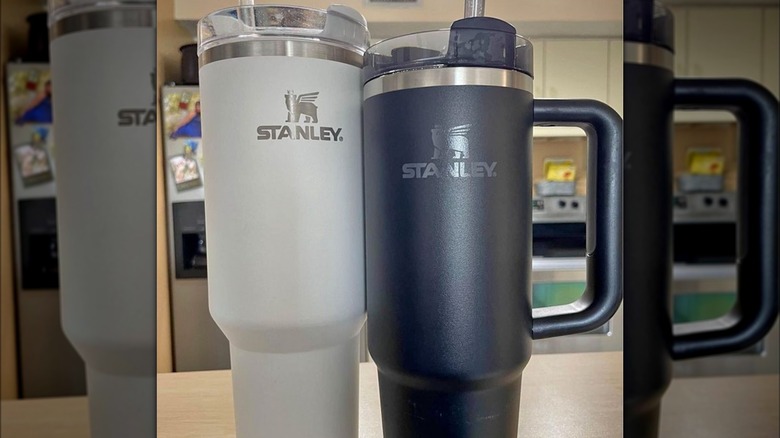 grey and black Stanley Quenchers