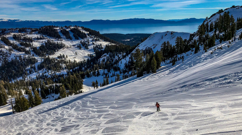 skier skiing Palisades Tahoe