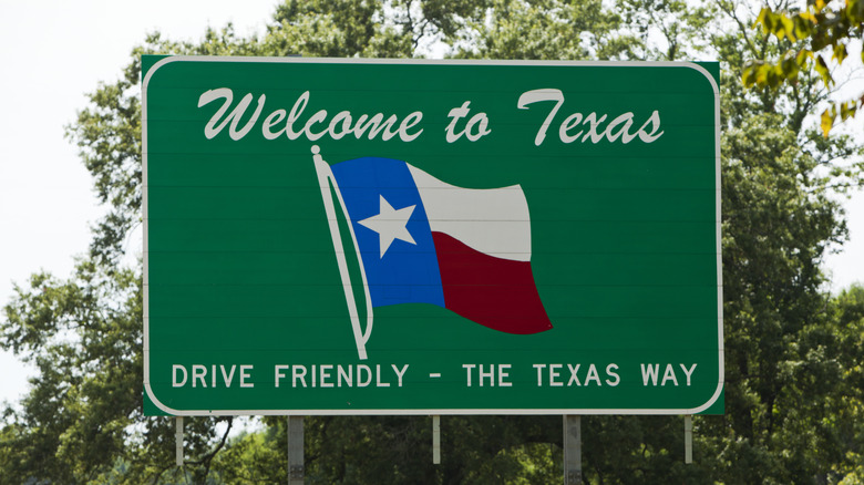 A highway sign welcoming visitors to the state of Texas