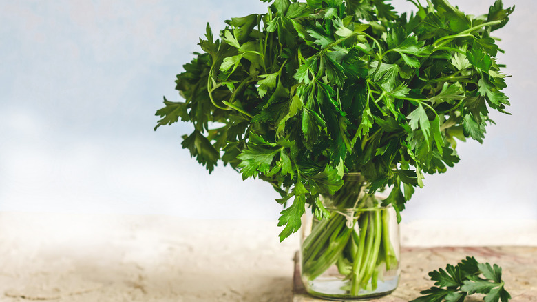 fresh parsley in a glass jar