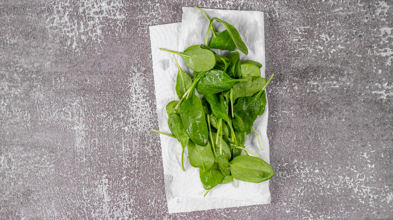 Spinach drying on paper towel