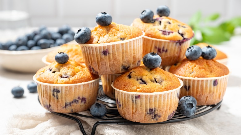 blueberry muffins with berries