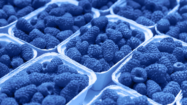 blue raspberries in cartons