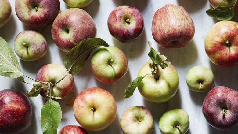 different apple varieties