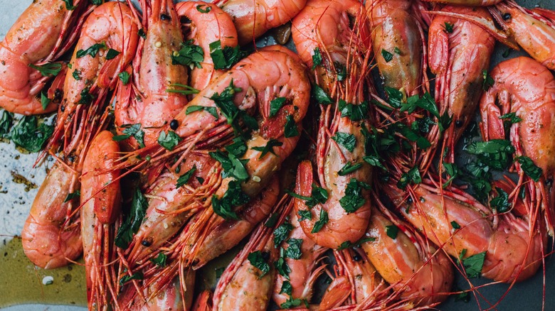 Plate of buttered spot prawns