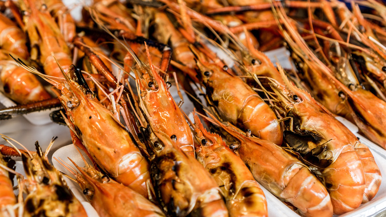 Table of spot prawns