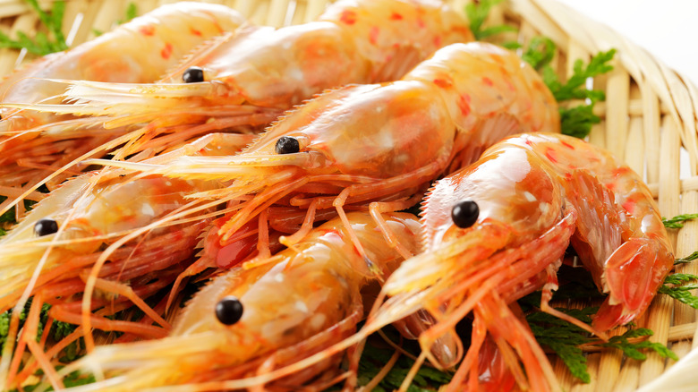 Pile of fresh spot prawns