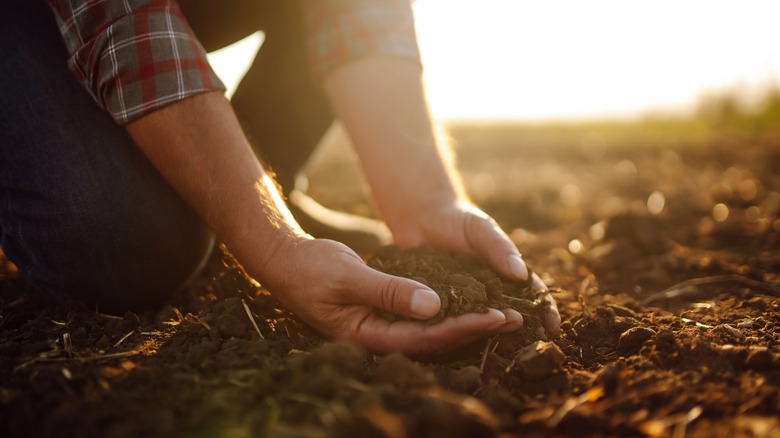 farmer hands in dirt