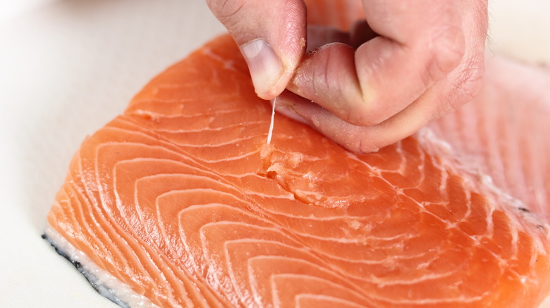 Hand removing salmon pin bone 