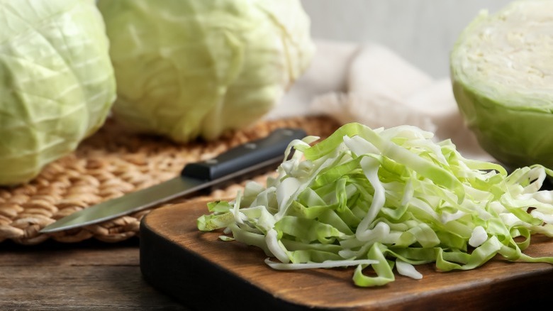 shredded cabbage for coleslaw