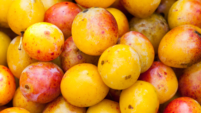 Pile of Mirabelle plums