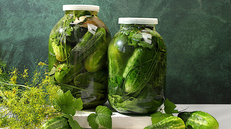 Pickled cucumbers in glass jars