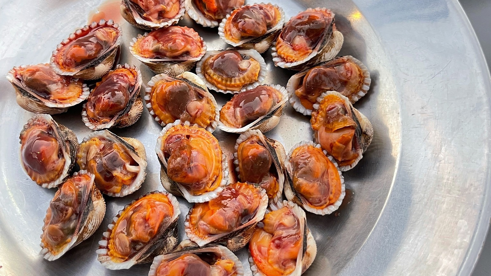 Oysters clams on sale and cockles