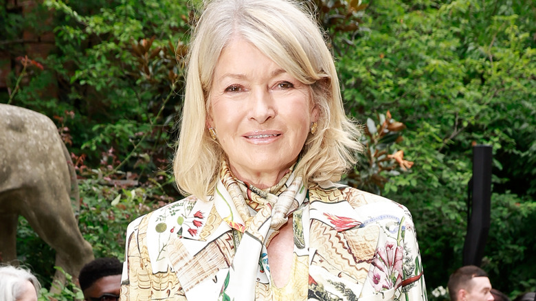 Martha Stewart in printed blazer and scarf