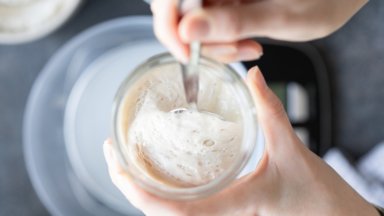 hands mix sourdough starter