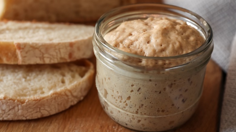 sourdough starter and bread