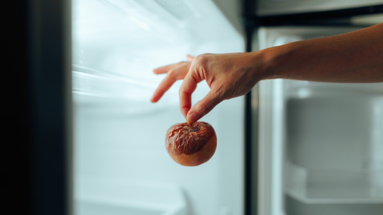 Hand holding rotting apple in refrigerator