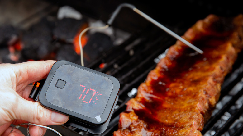 Digital meat thermometer