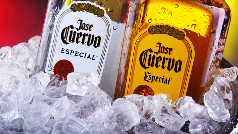 Jose Cuervo bottles in ice