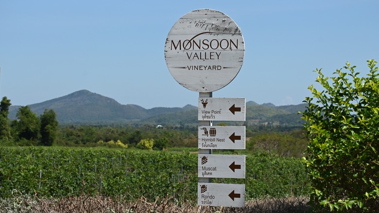 Monsoon Valley Vineyard in Hua Hin, Thailand