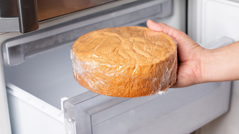 fresh sponge cake in freezer