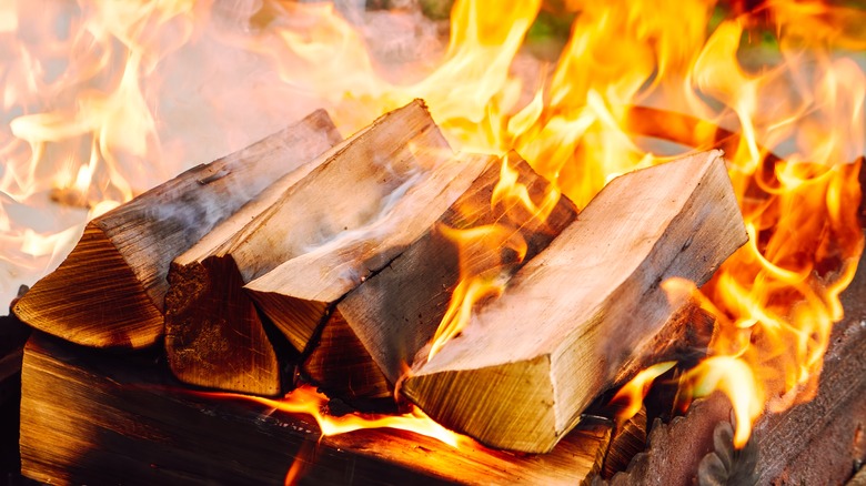 Burning wood logs 