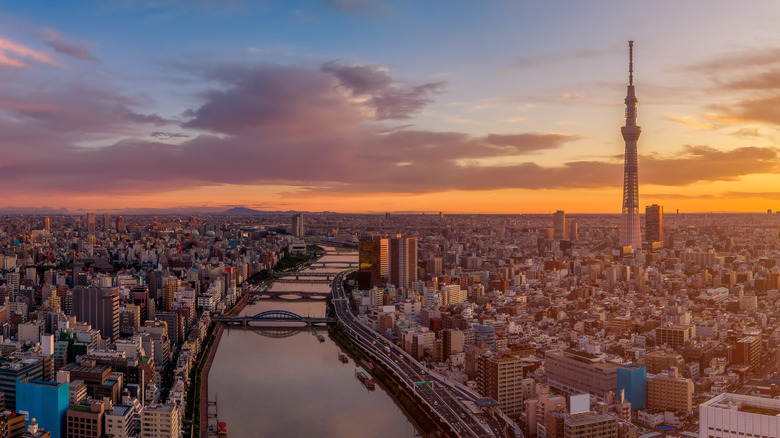 tokyo skyline at dawn