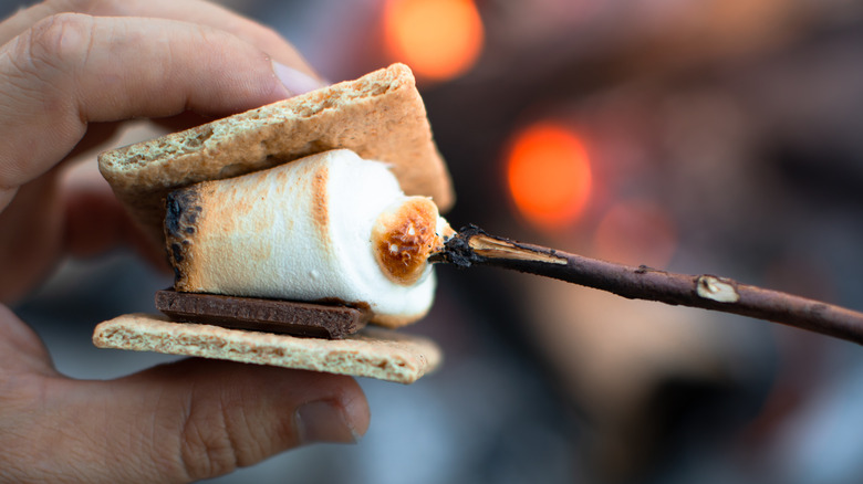 hand holding campfire s'mores