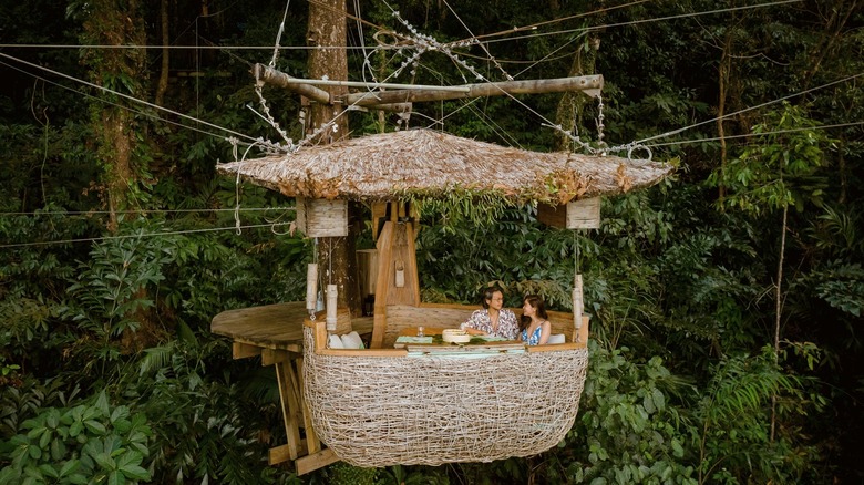 Diners in the suspended treepod