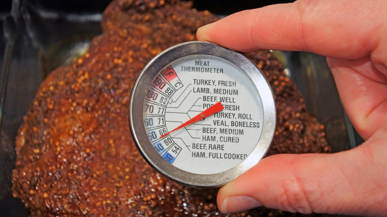 Meat thermometer in roast