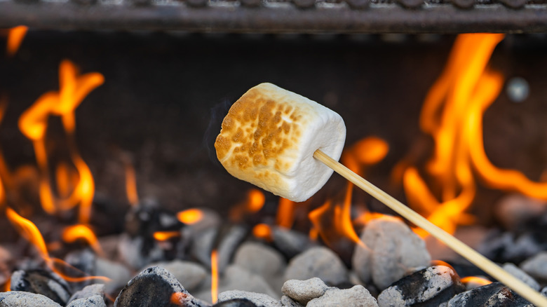 marshmallow roasting over camp fire