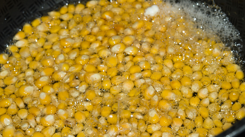 Popcorn kernels in oil