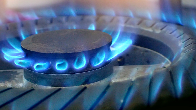 Gas stovetop's burning blue flame