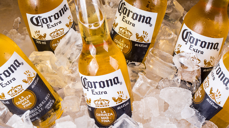 Corona bottles in ice