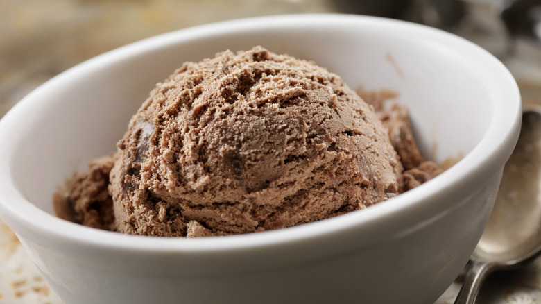 chocolate ice cream in bowl