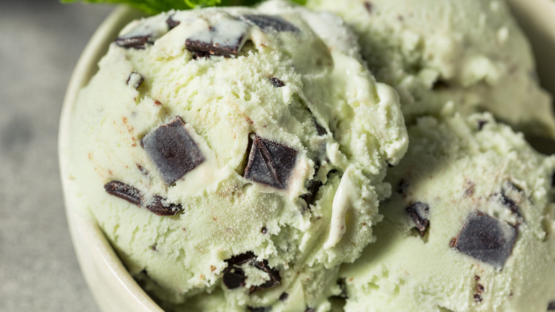 mint chocolate chip ice cream