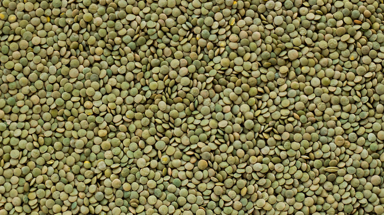 whole green lentils